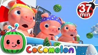 Three Little Pigs Pirate Version + More Nursery Rhymes - CoComelon