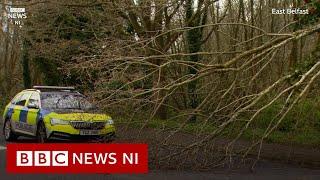 Travel disrupted as Storm Kathleen batters NI