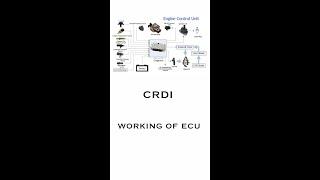 ECU Working in a diesel Engine  crdi working of ECU