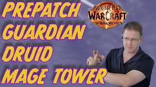 Guardian Druid Mage Tower - War Within Prepatch