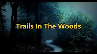 Trails In The Woods