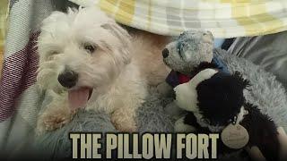 SF PLUSH - The Pillow Fort