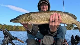 Fun Pike Catch in Pushaw Lake Maine - Kayak Fishing