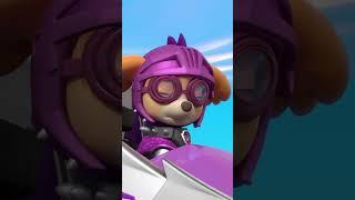 Claw and Sparks try to ruin the Rescue Knights Tournament #PAWPatrol #shorts UK