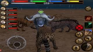 Cheetah Family Simulator Ultimate Savanna Simulator