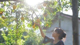 Hang a Quaint Lantern that Perfectly Befits the Peach Dishes on the Table.  Liziqi Channel