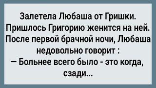 Как Любаша от Гришки Залетела Сборник Свежих Анекдотов Юмор