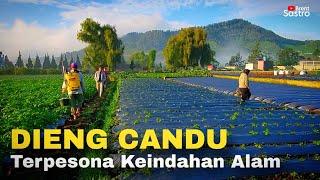 DIENG EMANG BIKIN CANDU KEINDAHAN ALAMNYA SUNGGUH MEMPESONA