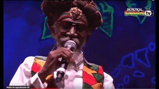 BUNNY WAILER & The Solomonic Orchestra live @ Main Stage 2015