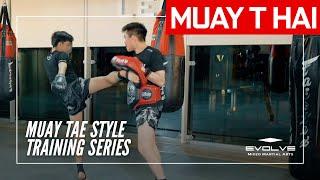 Muay Thai Training Series Muay Tae