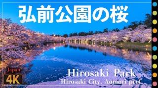 弘前城の桜～日本一の桜とも言われる桜の名所（Hirosaki Park  Hirosaki City Aomori pref.