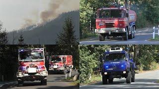 20 Hektar Waldbrand im Harz 2024 Einsatzfahrten Feuerwehr und THW in Schierke