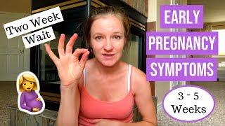 Early Pregnancy Symptoms    3 to 5 Weeks
