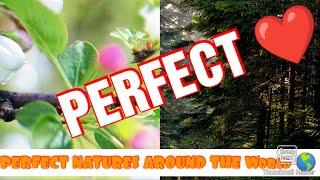 #PECTFECTNATURES #CalmingMelodies PERFECT NATURES AROUND THE WORLD