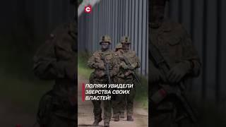 Поляки увидели зверства своих властей #политика #польша #новости #граница #беженцы #миграция