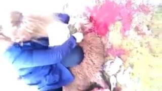 Kurban kesen kadın. Sheep slaughter woman. Sacrifice. victim. 3