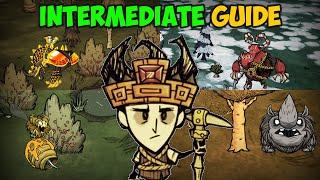 Ultimate Intermediate Survival Guide ALL Seasons Dont Starve Together