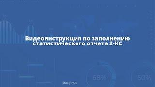 Видеоинструкция по заполнению ежемесячного статистического отчета 2-КС