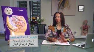 Alyaa Gad - أورام الرحم الليفية - رسالة هامة لجميع السيدات Uterine Fibroids