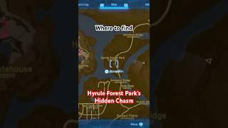 Where to find Hyrule Forest Park’s hidden chasm Hyrule Castle Moat East Chasm #zeldatotk #chasm