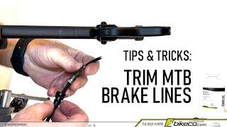 How-To Install or Trim MTB Brake Lines