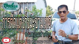 การตัดแต่งมะขามเทศ Ep.3 ขั้นตอนสำคัญ Non-toxic farming by Ajahn wichai Prommi Thongchana Prommi