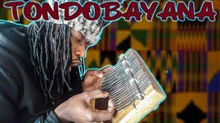 Introducing the MBIRA DZAVADZIMU - African Music History and Culture