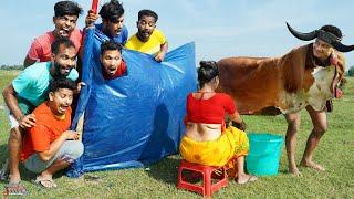 Monkey Special Trending Funny Comedy Video 2024Special Trending Funny Comedy Video Episode 274