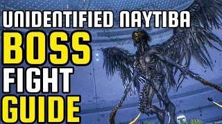 Unidentified Naytiba BOSS Fight Guide Gameplay  Normal Difficulty  Stellar Blade