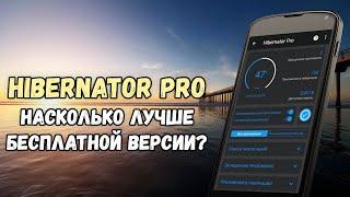 Hibernator Pro насколько лучше бесплатной версии?