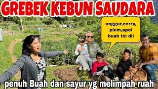 GREBEK KEBUN SAUDARA YG MELIMPAH RUAH BUAH &SAYURBEGINI KEADAAN SEKARANGBANYAK YG BISA DI PANEN