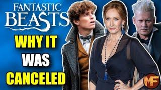 The Downfall of Fantastic Beasts A Look At Why It Was Canceled + My Thoughts