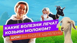 КАКИЕ БОЛЕЗНИ ЛЕЧАТ КОЗЬИМ МОЛОКОМ? ШОК ВЫ БУДЕТЕ УДИВЛЕНЫ