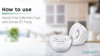 How to use  Zomee Z1 Pump with Hands Free Collection Cups