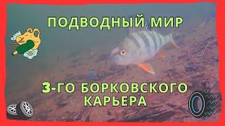 Подводное видео с 3 го Борковского карьера. Подводная съемка.