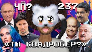 Чё Происходит #237  Миа Бойка vs квадроберы японский шпион в Беларуси Путин встречался с Дуровым