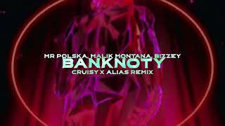 Mr Polska Malik Montana Bizzey - Banknoty Cruisy x Alias REMIX