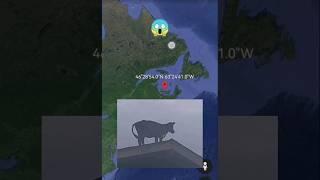 Cow on the roof of a houseon Google Earth #shorts #googlemaps #googleearth #armkien