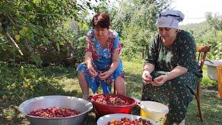 Заготовки из алычи на зиму. Готовим Лезгинское Цуру. Кислый соус из алычи. #Алычаназимурецепт