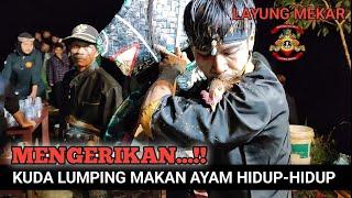 Kuda lumping menghisap darahh segar  LAYUNG MEKAR