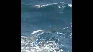 Viral. Kapal melawan gelombang besar 3-4 Meter di laut sabang-Banda Aceh