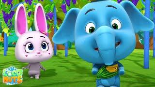 Charlie och fruktfabriken  Serial animowany  Kids Tv Polsku  Program dla dzieci