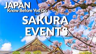 Japan Sakura Cherry Blossom Events 2023  Know Before You Go