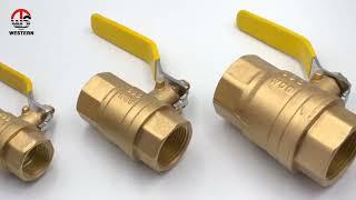 600 WOG Brass Ball Valve is our top selling produc...