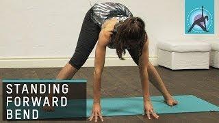 Wide legged Standing Forward Bend Yoga