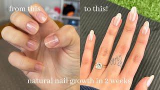 how i grew my natural nails long  gel nails at home + tips & tricks for strong healthy nails