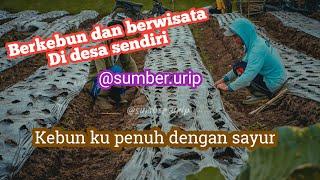 Rutinitas warga desa Sumber Urip