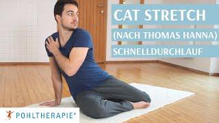 Cat Stretch Schnelldurchlauf nach Thomas Hanna