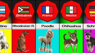 Dogs Breeds From Different Countries Part 2