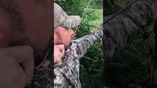 56 yard archery shot on a black bear with WFO Bear Hunt #bowhunting #bowhunt #hunting #bearhunting